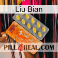 Liu Bian new05